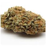 Шишки AK47 (Гидропоника, Бошка) VHQ в Соликамске Шишки AK47 (Гидропоника, Бошка) VHQ в Соликамске