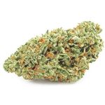 Шишки OG Kush (Гидропоника, бошки) VHQ в Соликамске Шишки OG Kush (Гидропоника, бошки) VHQ в Соликамске